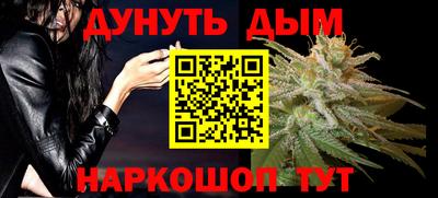 мдпв Гусев