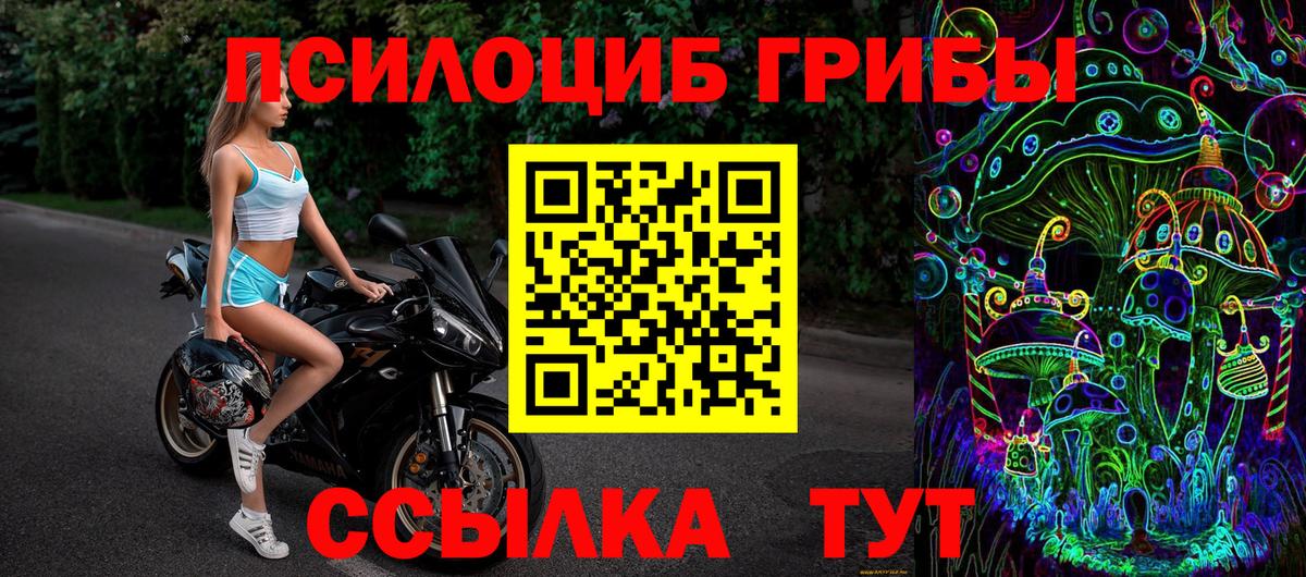Трёхгорный  Псилоцибиновые грибы Cubensis  Вход с VPN 
